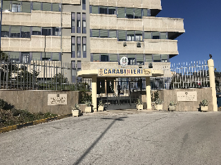 Irregolarità nell’apicoltura nelle Marche, dieci indagati